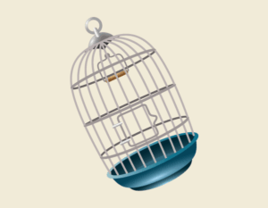 Bird crate Bird crate
